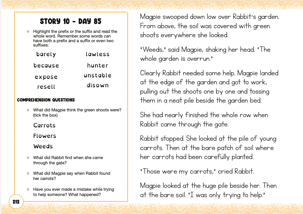Art Of Reading Stage 3 (Physical Book)
